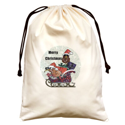 Christmas kiwis on sleigh large natural canvas Santa sack Thumbnail