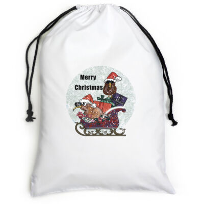 Christmas kiwis on sleigh large white canvas sack Thumbnail